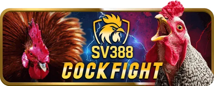 Đá Gà Cựa Sắt vnew88 chính thức
