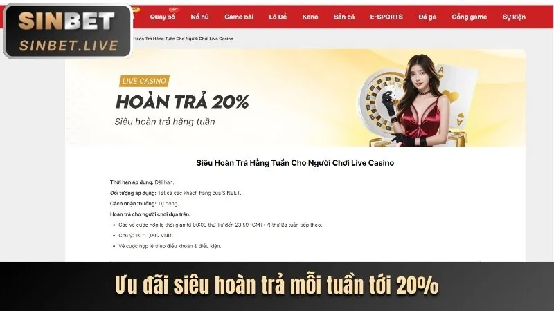 Hoàn trả casino vnew88 chính thức